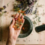 Embracing Mindfulness for a Longer Life