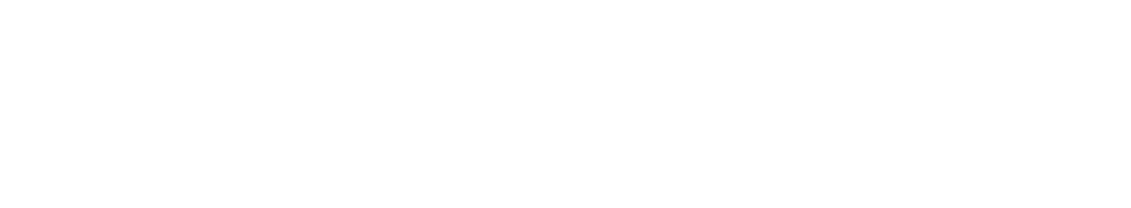 Lee's Holistic Care